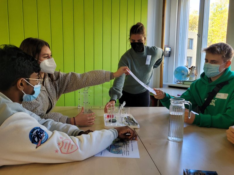 Schüler beim Forschen