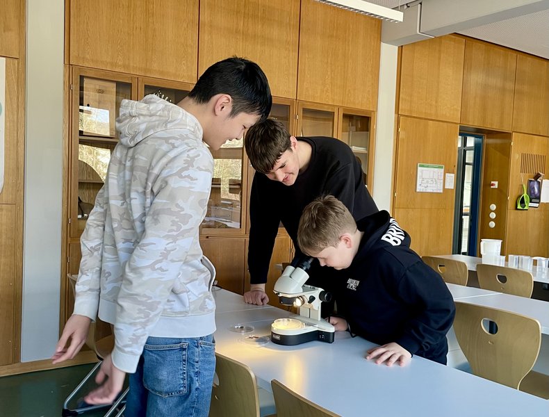 Schüler präsentieren ihre Schule