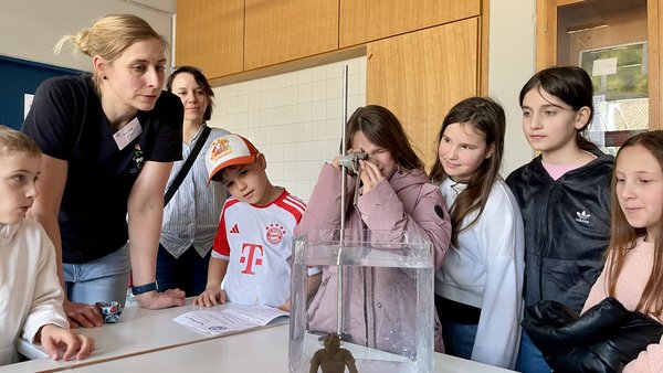 Schüler zeigen und entdecken die Schule