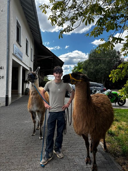 Schüler mit Lama