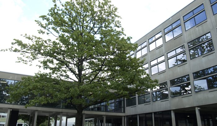 Innenhof